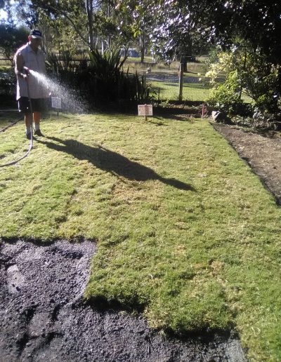 turf brisbane, turf ipswich, turf gold coast, turf delivery, turf grass, quality turf brisbane