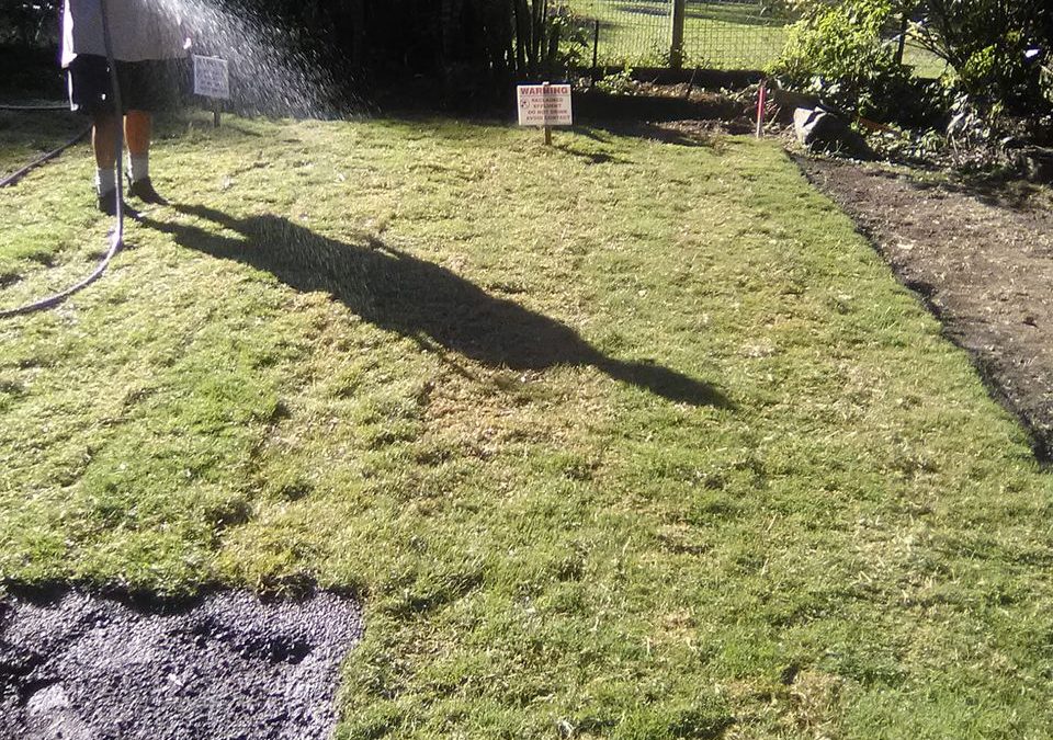 turf brisbane, turf ipswich, turf gold coast, turf delivery, turf grass, quality turf brisbane