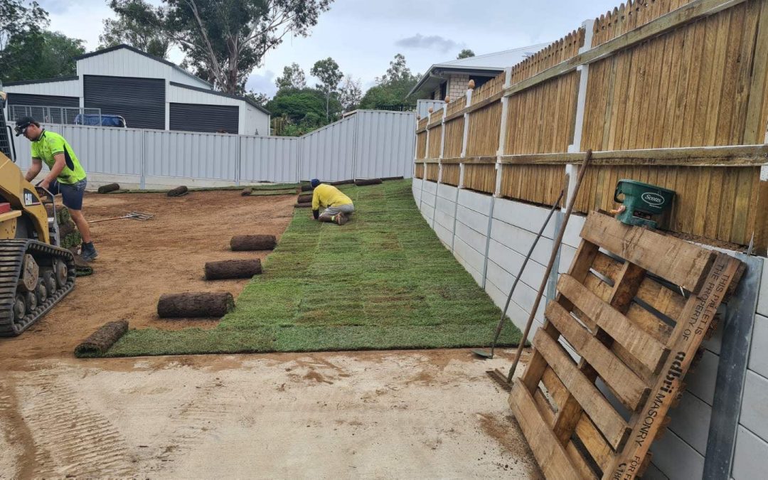 Transform Your Space with Budget Turf