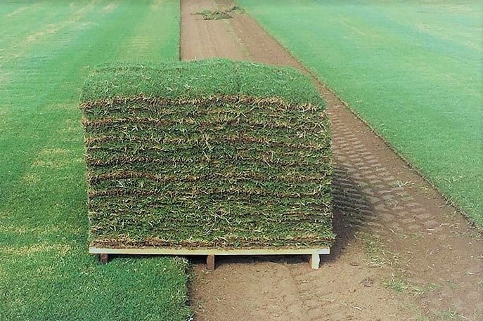 turf brisbane, turf free delivery, turf from farm,