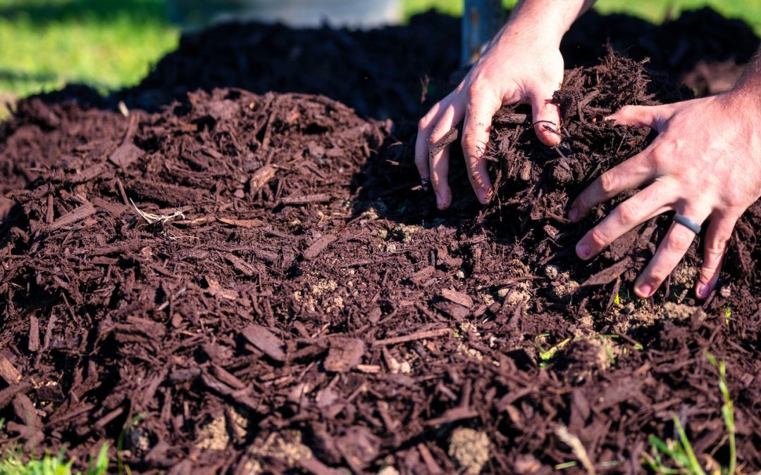 Why Your Garden Needs Mulch