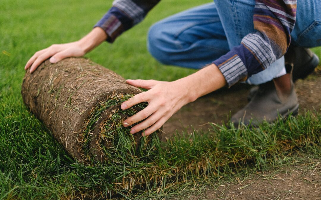 Installing Turf in Your Garden with Budget Turf