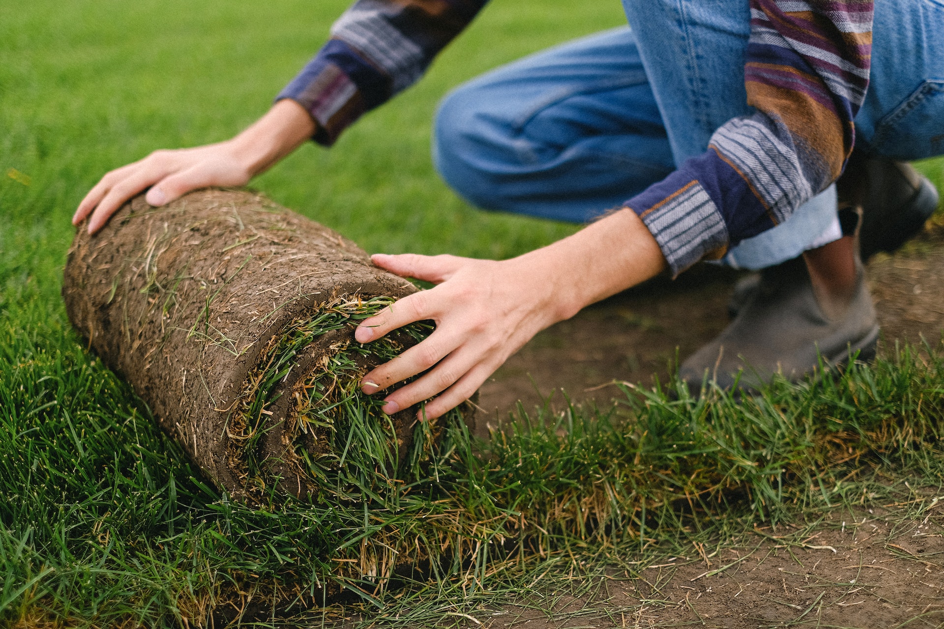 budget turf, turf brisbane, 