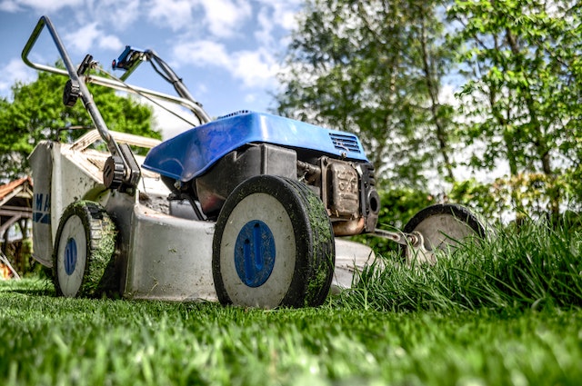 Finding the Perfect Lawn Length