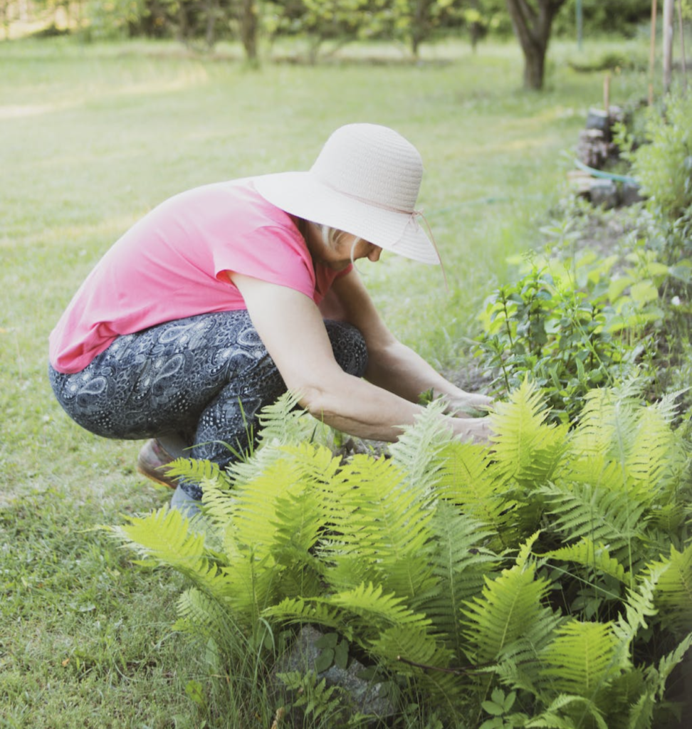Spring Garden Care Tips for Brisbane's Climate Budget Turf